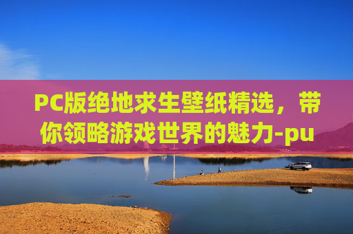 PC版绝地求生壁纸精选，带你领略游戏世界的魅力-pubg壁纸1920x1080