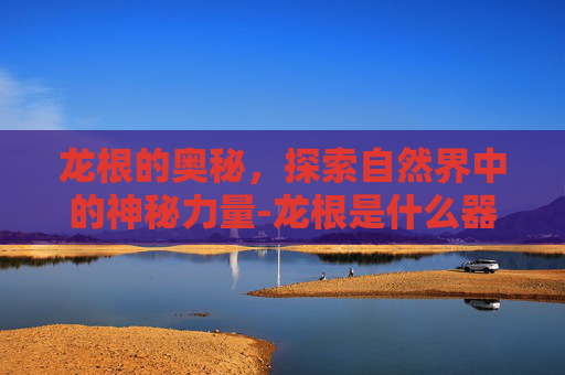 龙根的奥秘，探索自然界中的神秘力量-龙根是什么器官