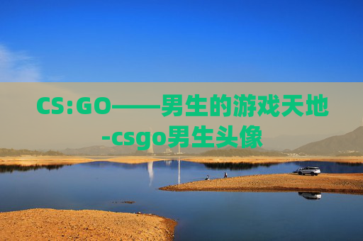 CS:GO——男生的游戏天地-csgo男生头像