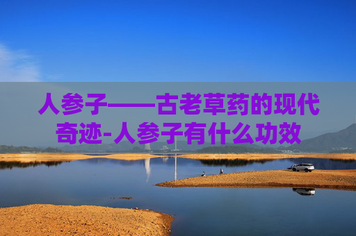 人参子——古老草药的现代奇迹-人参子有什么功效
