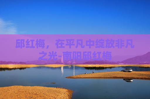 邱红梅，在平凡中绽放非凡之光-南阳邱红梅