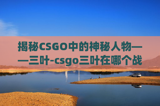 揭秘CSGO中的神秘人物——三叶-csgo三叶在哪个战队