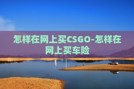 怎样在网上买CSGO-怎样在网上买车险