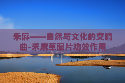 禾麻——自然与文化的交响曲-禾麻草图片功效作用