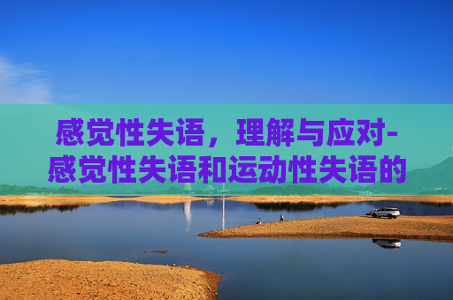 感觉性失语，理解与应对-感觉性失语和运动性失语的区别