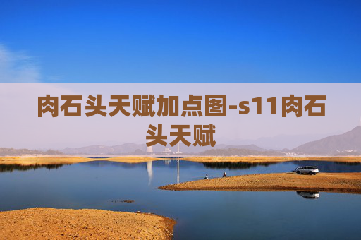 肉石头天赋加点图-s11肉石头天赋
