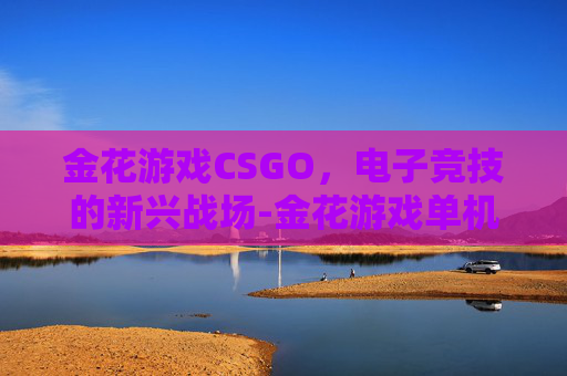 金花游戏CSGO，电子竞技的新兴战场-金花游戏单机版下载