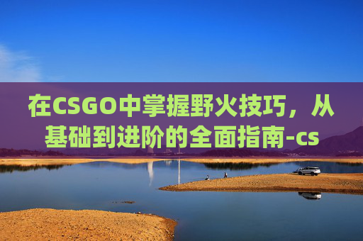 在CSGO中掌握野火技巧，从基础到进阶的全面指南-csgo野火怎么炼
