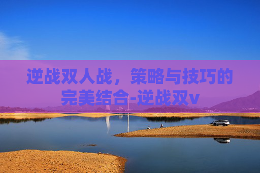 逆战双人战，策略与技巧的完美结合-逆战双v