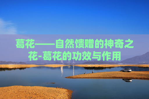 葛花——自然馈赠的神奇之花-葛花的功效与作用