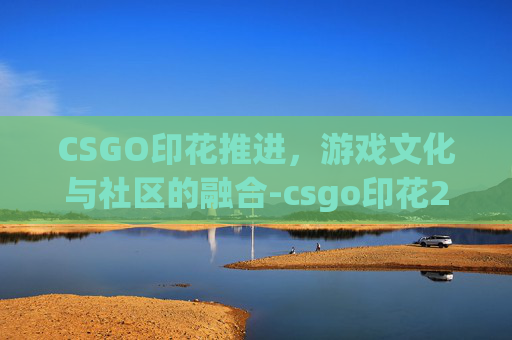 CSGO印花推进，游戏文化与社区的融合-csgo印花2020rmr