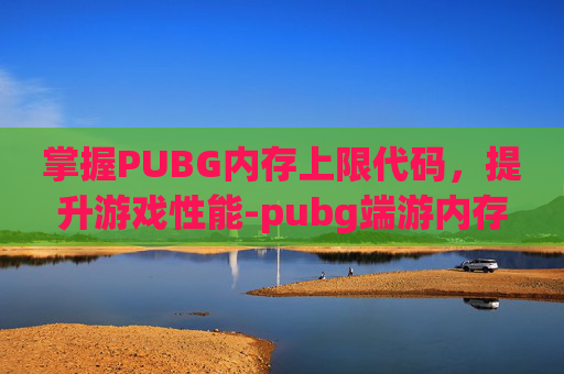 掌握PUBG内存上限代码，提升游戏性能-pubg端游内存