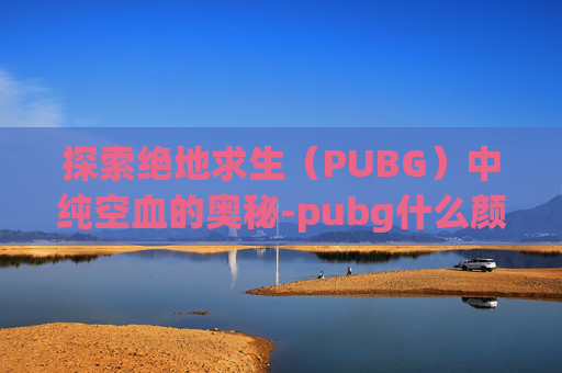 探索绝地求生（PUBG）中纯空血的奥秘-pubg什么颜色血最好