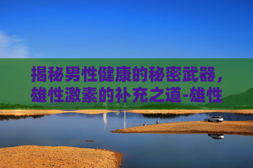 揭秘男性健康的秘密武器，雄性激素的补充之道-雄性激素怎么补充