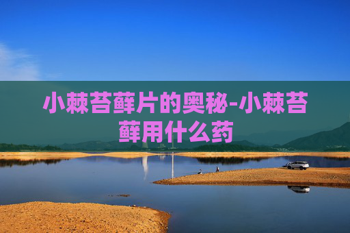小棘苔藓片的奥秘-小棘苔藓用什么药