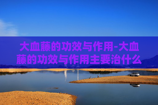 大血藤的功效与作用-大血藤的功效与作用主要治什么病