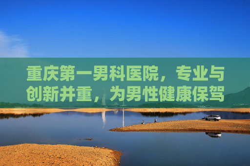 重庆第一男科医院，专业与创新并重，为男性健康保驾护航-重庆第一男科医院怎么样