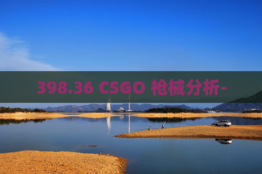398.36 CSGO 枪械分析-
