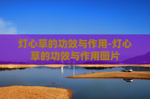 灯心草的功效与作用-灯心草的功效与作用图片