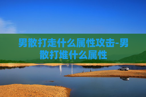 男散打走什么属性攻击-男散打堆什么属性