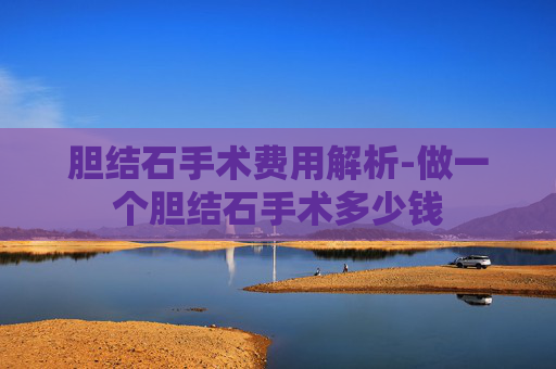 胆结石手术费用解析-做一个胆结石手术多少钱
