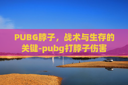 PUBG脖子，战术与生存的关键-pubg打脖子伤害