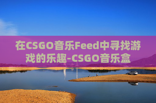 在CSGO音乐Feed中寻找游戏的乐趣-CSGO音乐盒