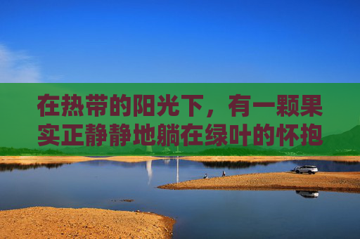 在热带的阳光下，有一颗果实正静静地躺在绿叶的怀抱中。它不是苹果也不是香蕉，更不是常见的水果，而是一只独特的榴莲。榴莲以其独特的气味和味道，成为了许多人心中的美食怪兽。-一只榴莲三只鸡的说法是真的吗