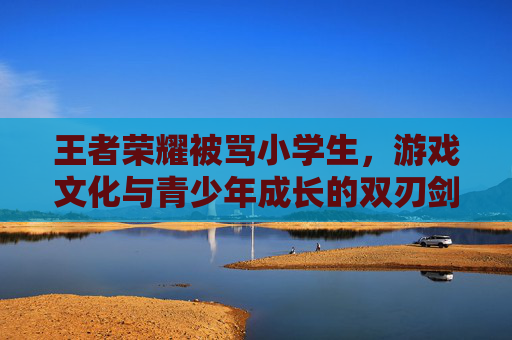 王者荣耀被骂小学生，游戏文化与青少年成长的双刃剑-王者荣耀小学生骂人的咋那么多