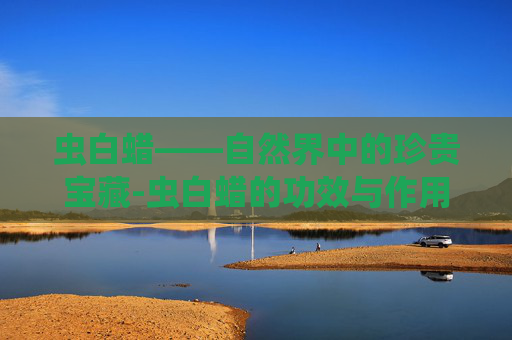 虫白蜡——自然界中的珍贵宝藏-虫白蜡的功效与作用
