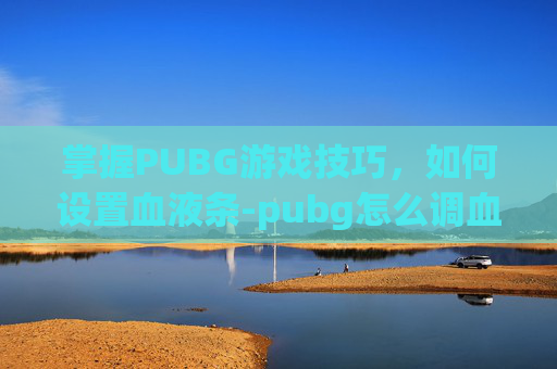 掌握PUBG游戏技巧，如何设置血液条-pubg怎么调血