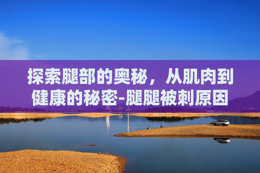 探索腿部的奥秘，从肌肉到健康的秘密-腿腿被刺原因