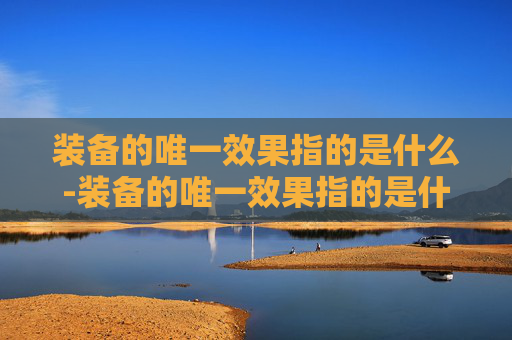 装备的唯一效果指的是什么-装备的唯一效果指的是什么呢