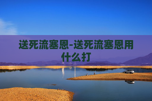 送死流塞恩-送死流塞恩用什么打