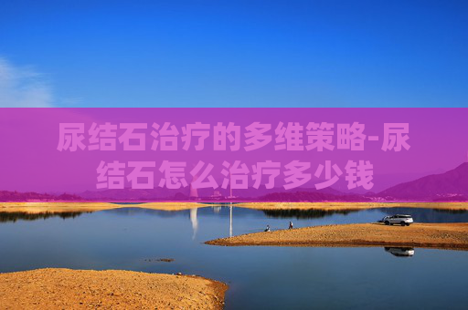 尿结石治疗的多维策略-尿结石怎么治疗多少钱
