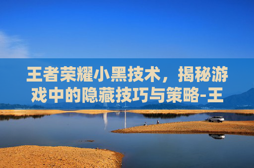 王者荣耀小黑技术，揭秘游戏中的隐藏技巧与策略-王者荣耀小黑技术出装