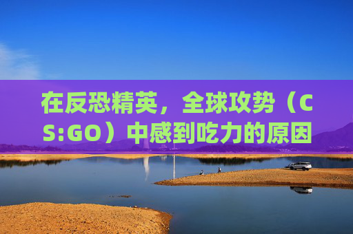 在反恐精英，全球攻势（CS:GO）中感到吃力的原因及应对策略-csgo吃反应吗