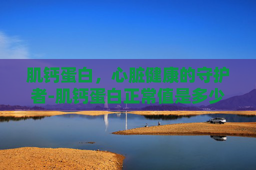 肌钙蛋白，心脏健康的守护者-肌钙蛋白正常值是多少