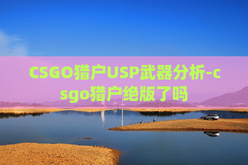 CSGO猎户USP武器分析-csgo猎户绝版了吗