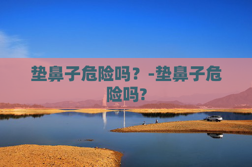 垫鼻子危险吗？-垫鼻子危险吗?