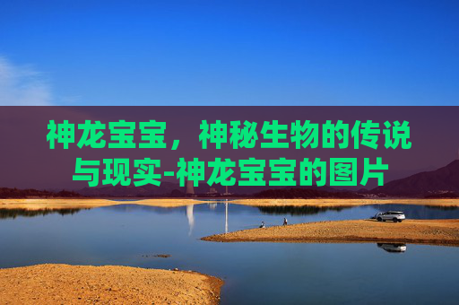 神龙宝宝，神秘生物的传说与现实-神龙宝宝的图片