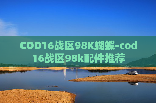COD16战区98K蝴蝶-cod16战区98k配件推荐
