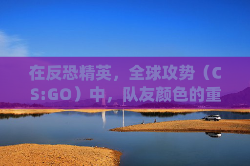 在反恐精英，全球攻势（CS:GO）中，队友颜色的重要性-csgo队友颜色字母怎么设置