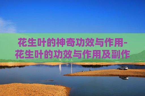 花生叶的神奇功效与作用-花生叶的功效与作用及副作用禁忌