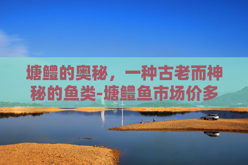 塘鳢的奥秘，一种古老而神秘的鱼类-塘鳢鱼市场价多少钱一斤