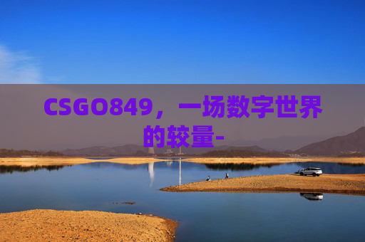 CSGO849，一场数字世界的较量-