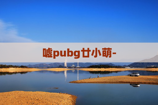 嘘pubg廿小萌-