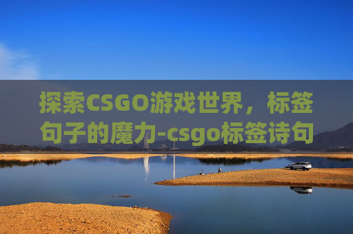 探索CSGO游戏世界，标签句子的魔力-csgo标签诗句