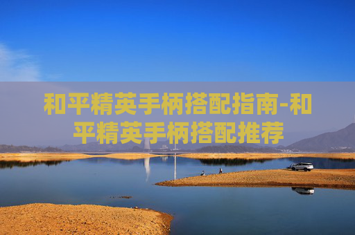 和平精英手柄搭配指南-和平精英手柄搭配推荐