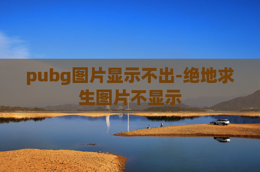 pubg图片显示不出-绝地求生图片不显示